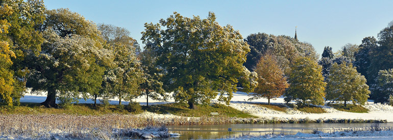 Wintry Abbey Fields, Kenilworth