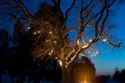 Menzies Welcombe Hotel Stratford at Night